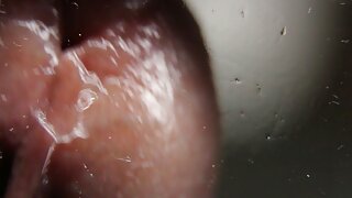 ربيبة مذهلة تمتص قبل الخريف فولز سوبر افلام سكس اجنبي مترجم عربي جديد بول